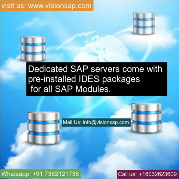 SAP Remote Server Access