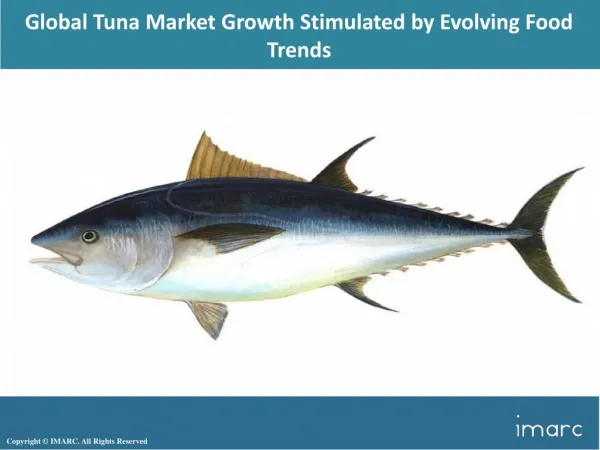 Global Tuna Market Sales, Size, Revenue Status, Analysis, Trends & Forecast During 2018-2023