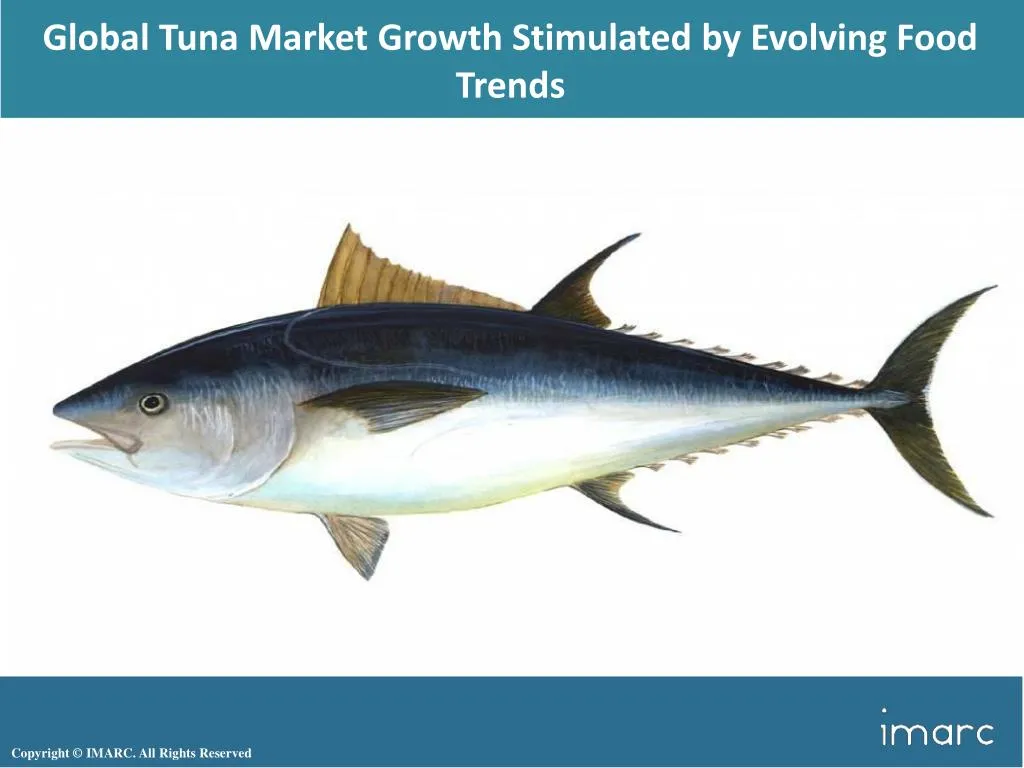 global tuna market growth stimulated by evolving