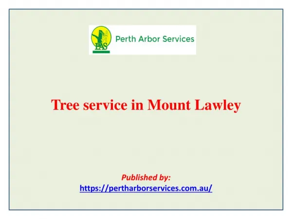 Tree service in Mount Lawley