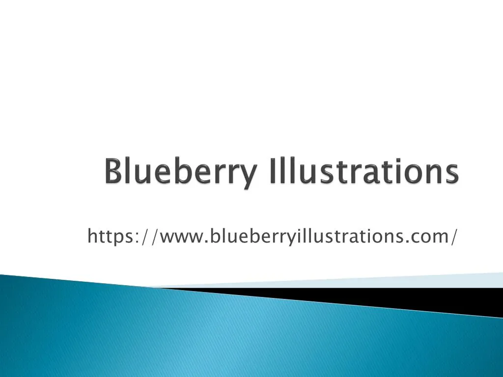 blueberry illustrations