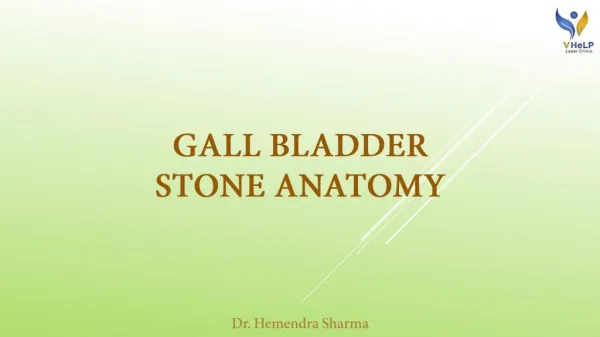 Gall Bladder Stone Anatomy