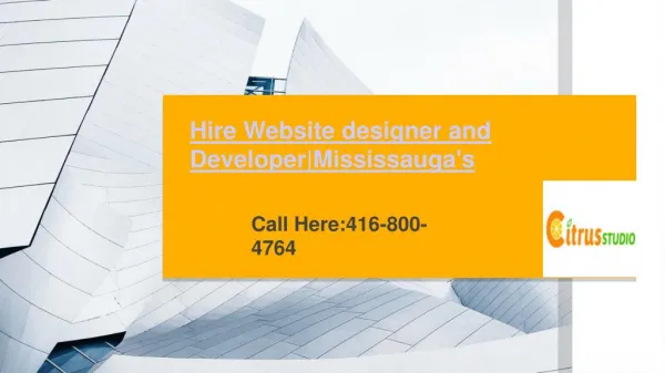 Hire Website designer and Developer|Mississauga's
