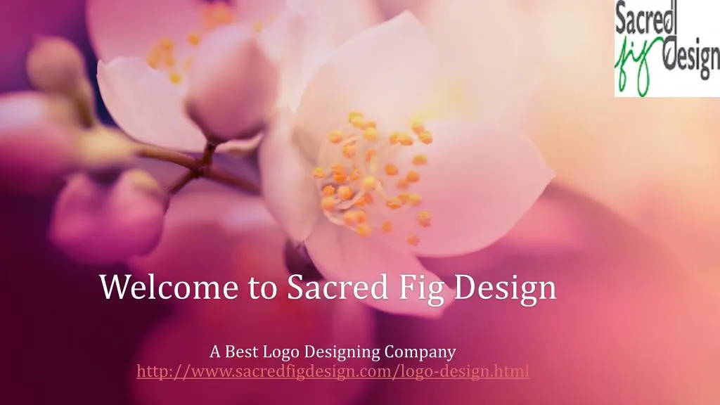 welcome to sacred fig design