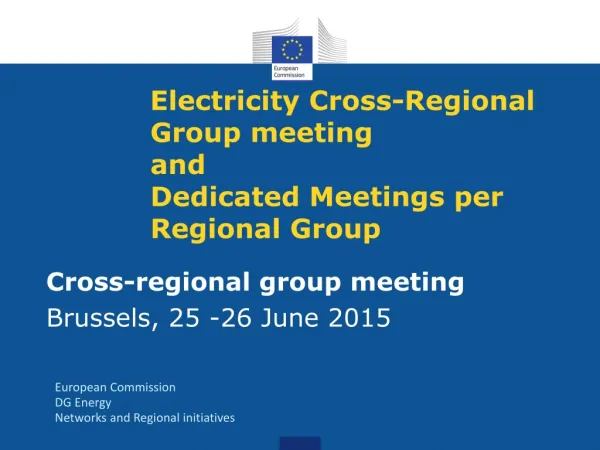 Electricity Cross-Regional Group meeting and Dedicated Meetings per Regional Group
