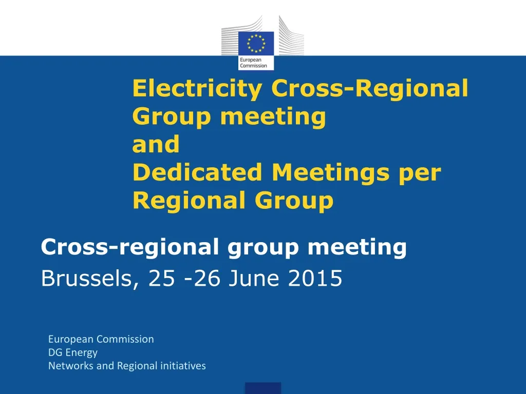 electricity cross regional group meeting and dedicated meetings per regional group