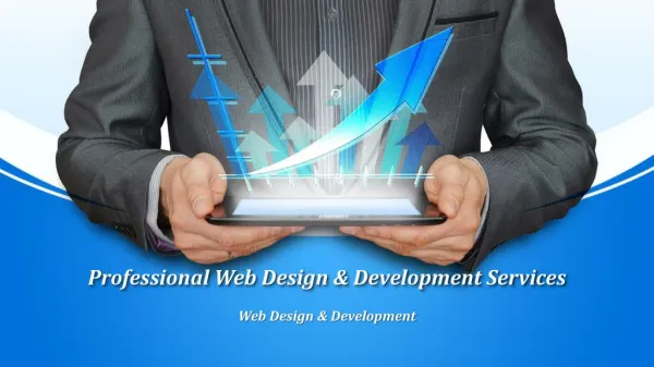 Professional Web Design & Development Services