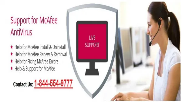 McAfee Customer Support Phone Number