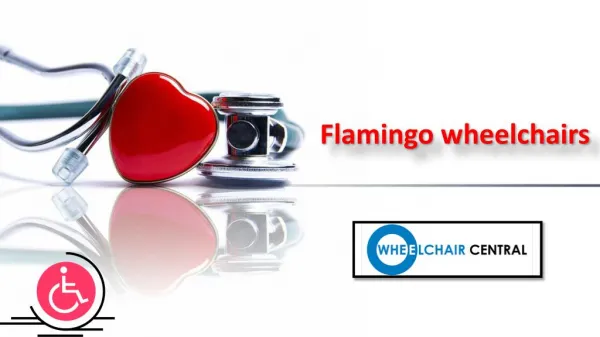 Flamingo wheelchair, Flamingo wheelchair dealers in Hyderabad - Wheelchaircentral