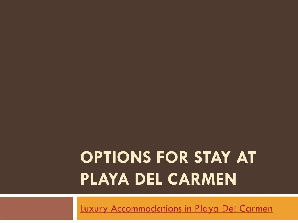 options for stay at playa del carmen