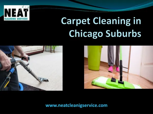 Carpet Cleaning Service in ChicagoÂ 