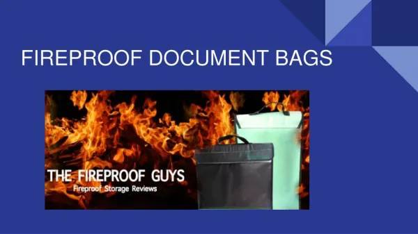 Fireproof Document Bags