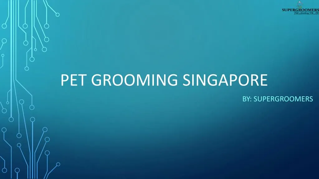 pet grooming singapore