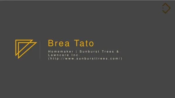 Brea L Tato - Sunburst Trees & Lawncare Inc.