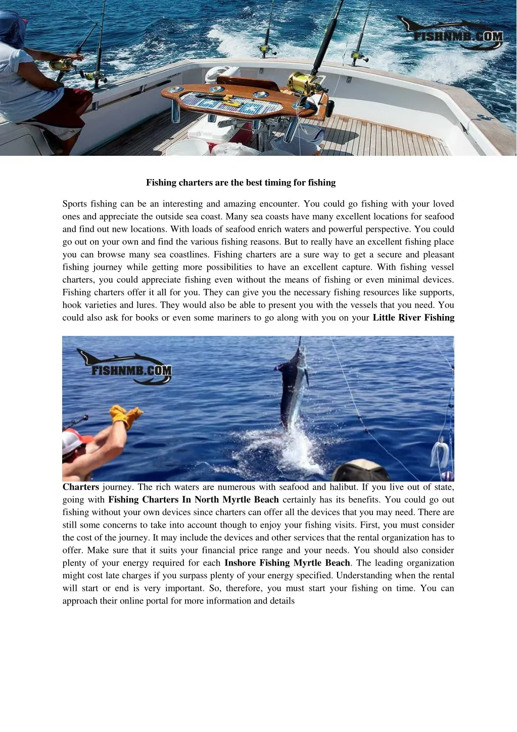 fishing charters are the best timing for fishing