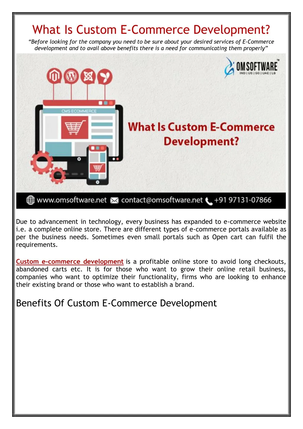 what is custom e commerce development before