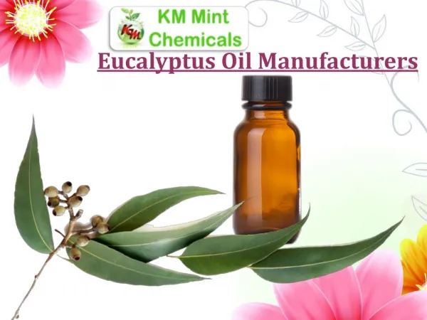 Eucalyptus Oil Manufacturers