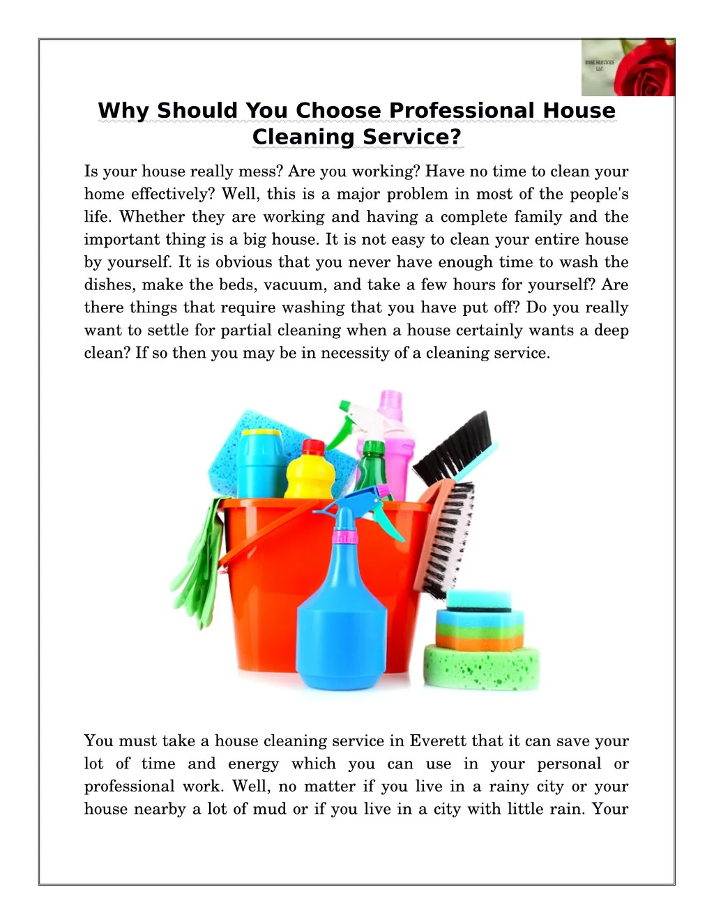 why should you choose professional house cleaning