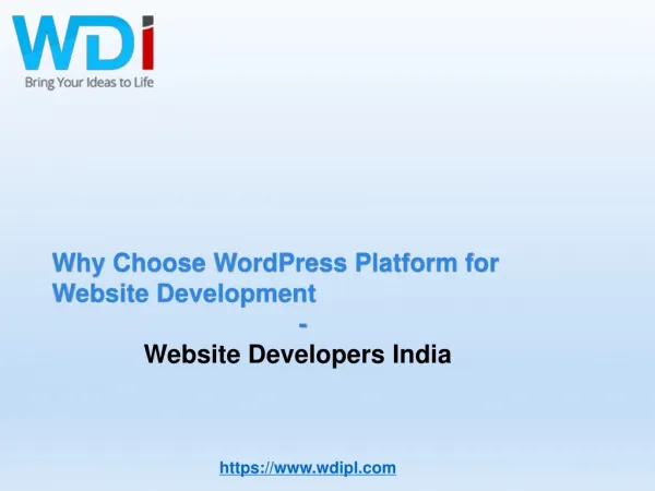 Choose WordPress Platform for Website Development