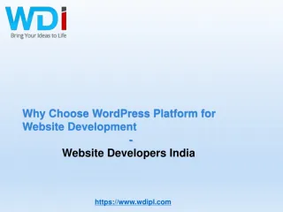 Choose WordPress Platform for Website Development - slide 1
