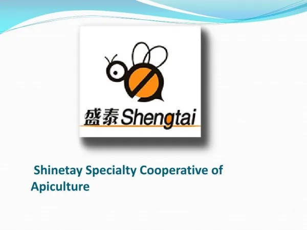 Shinetay Specialty Cooperative of Apiculture