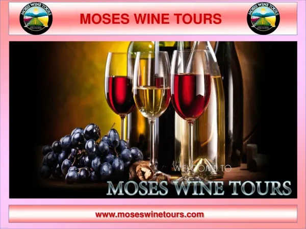 Wine Tour Temecula Packages