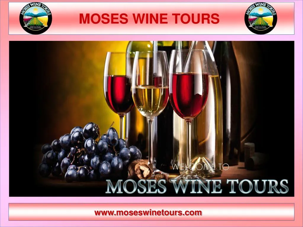 moses wine tours