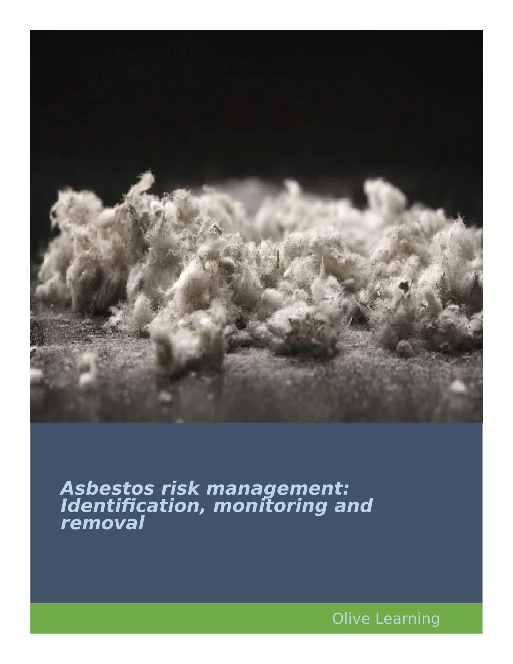 asbestos risk management identification