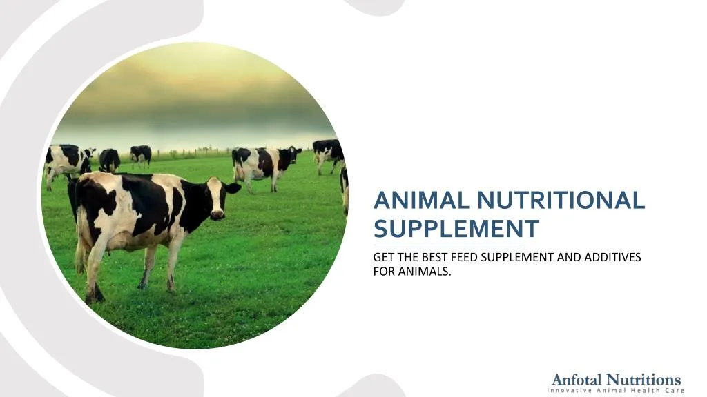 animal nutritional supplement