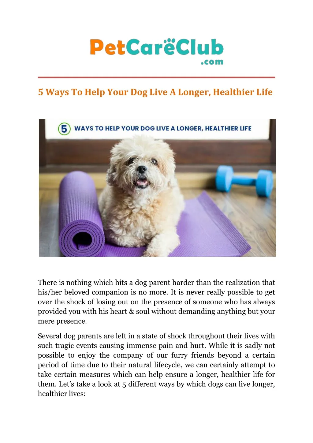 5 ways to help your dog live a longer healthier