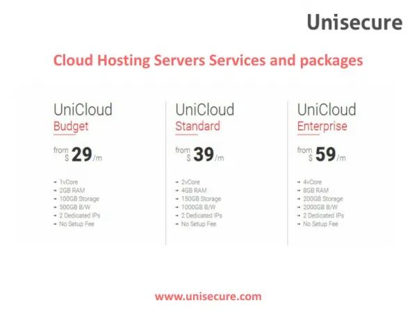 Unisecure's Cloud Hosting Servers Services and packages