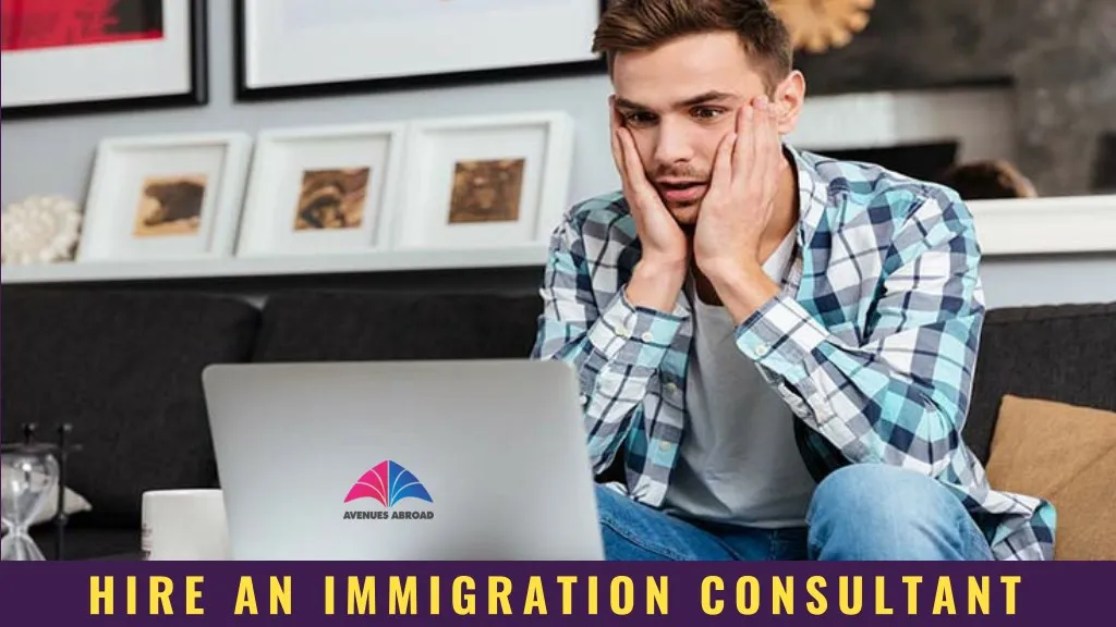 hire an immigration consultant