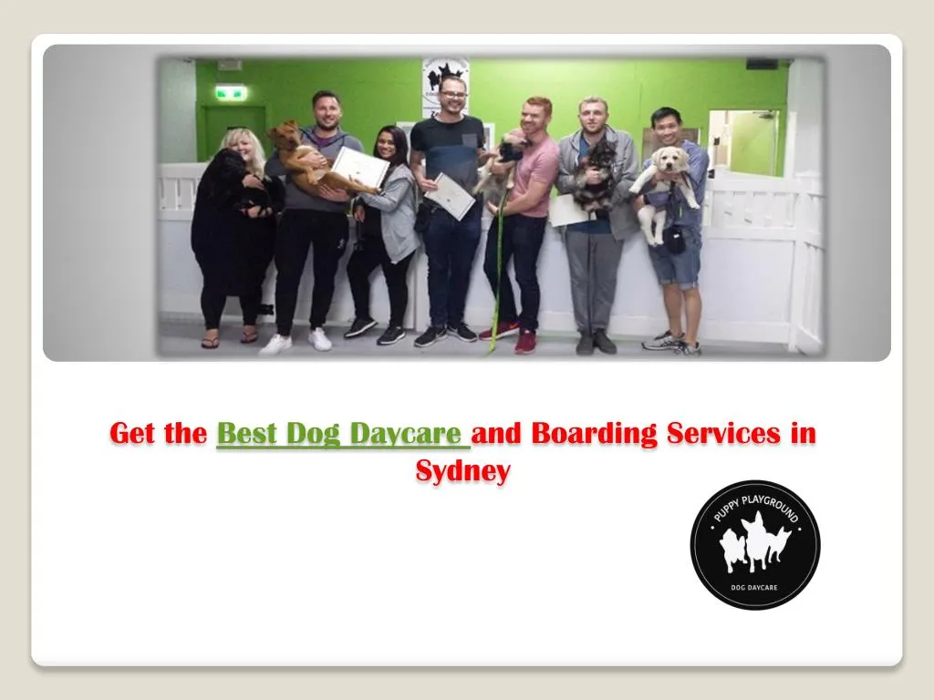 get the best dog daycare and boarding services