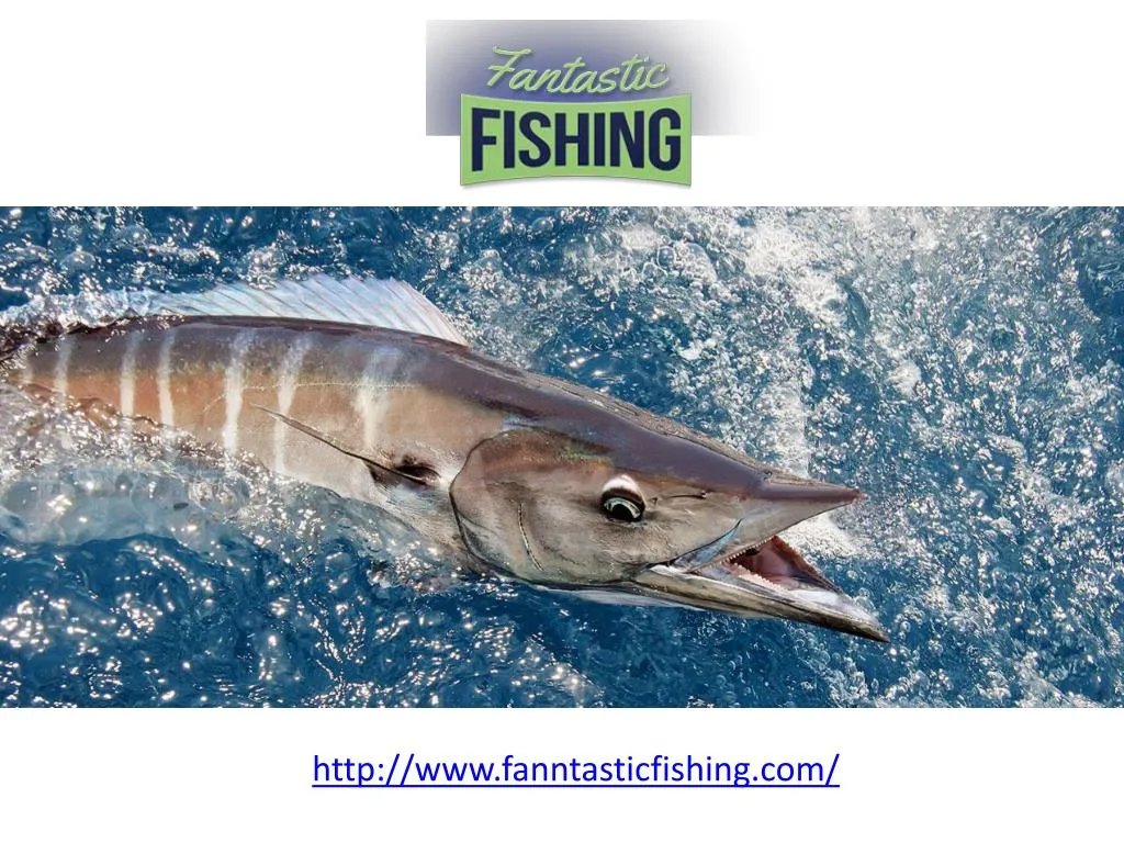 Fort lauderdale Fishing Charters