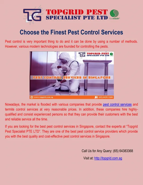 Choose Finest Pest Control Services in Singapore