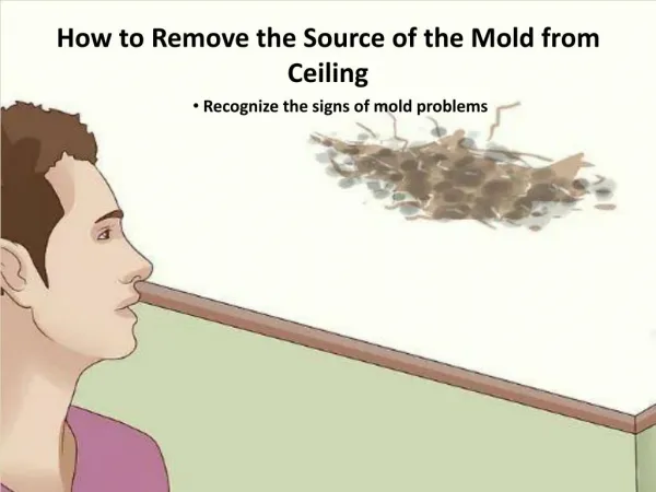 How to Remove the Source of the Mold from Ceiling