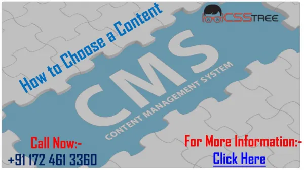 How to Choose a Content Management System (CMS)
