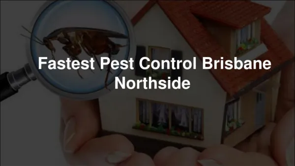 Find the best pest control Brisbane
