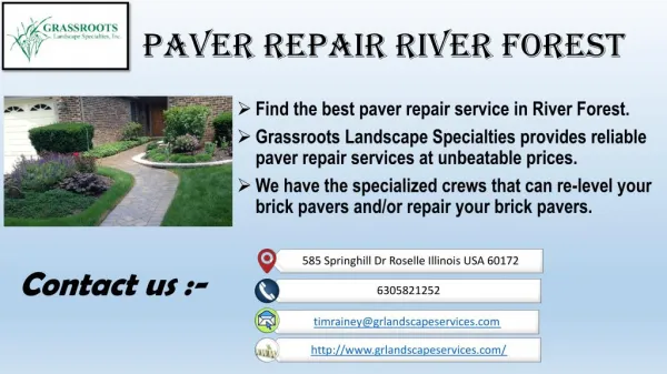 paver repair Park Ridge