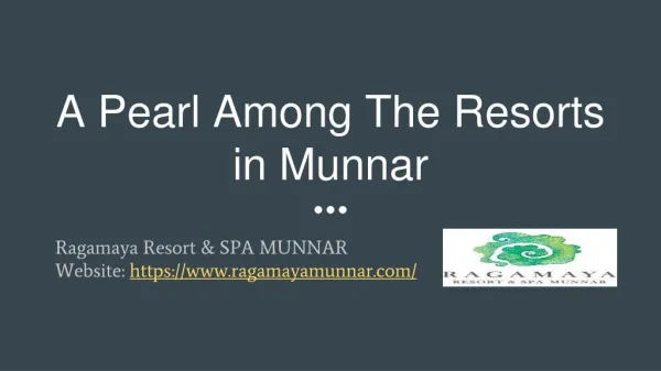 Best Resort in Munnar