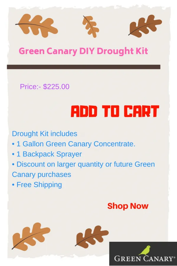 Green Canary DIY Drought Kit