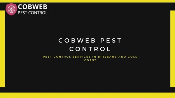 Pest Control Services in Gold Coast