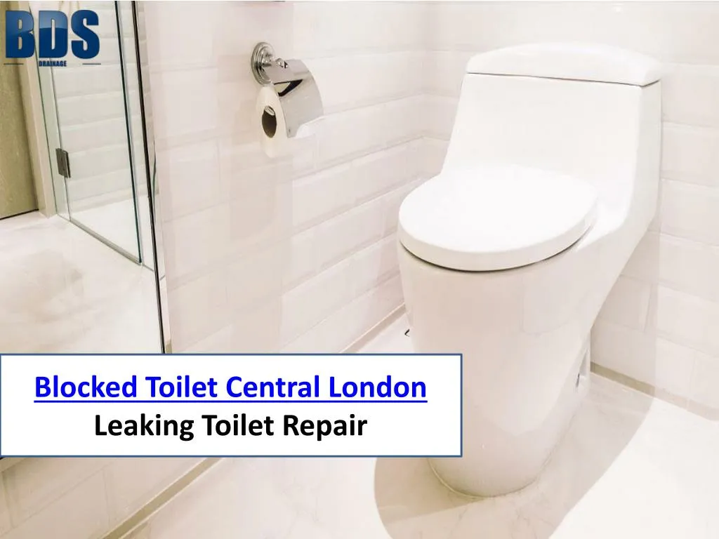 blocked toilet central london leaking toilet