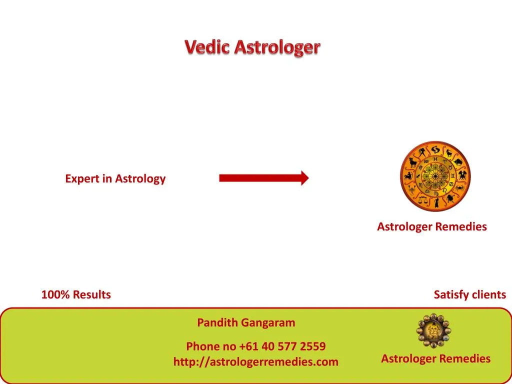 vedic astrologer