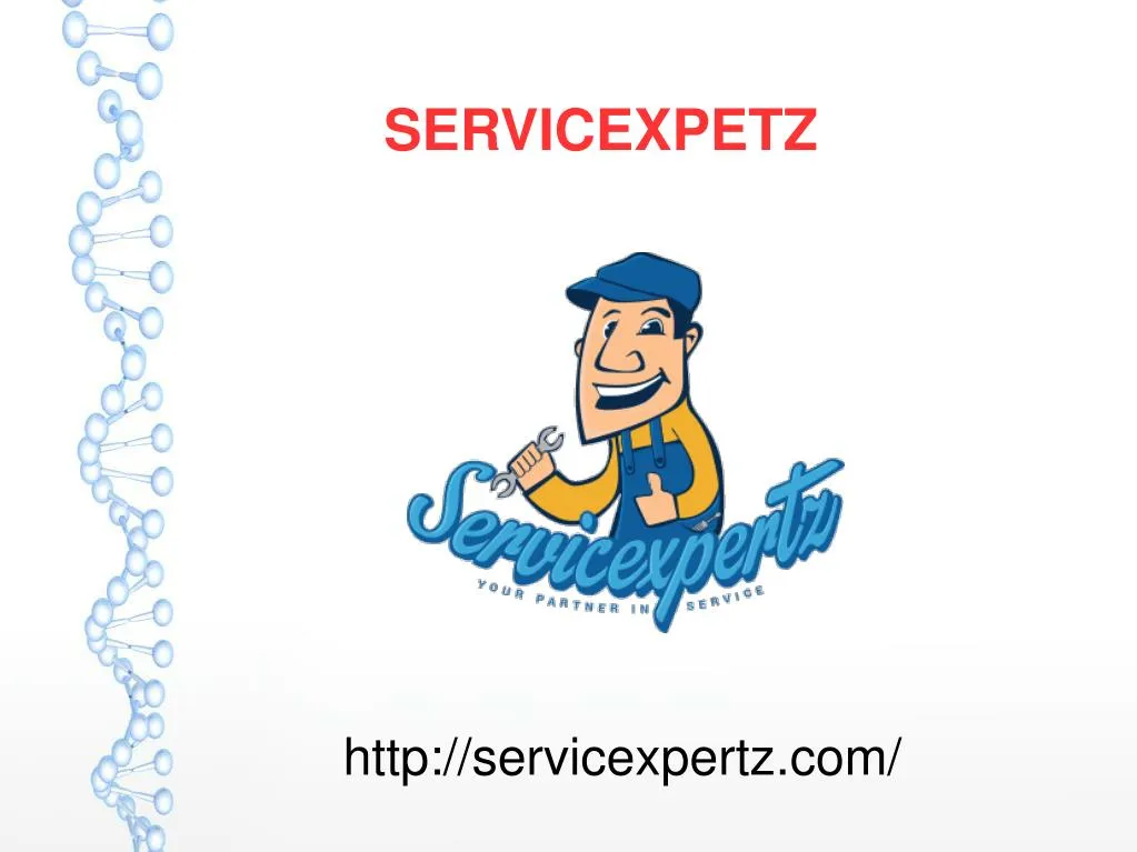 servicexpetz
