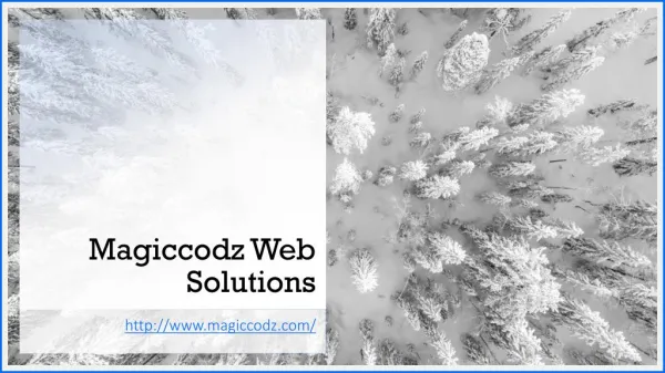 Website Development Company India - Magiccodz Web Solutions