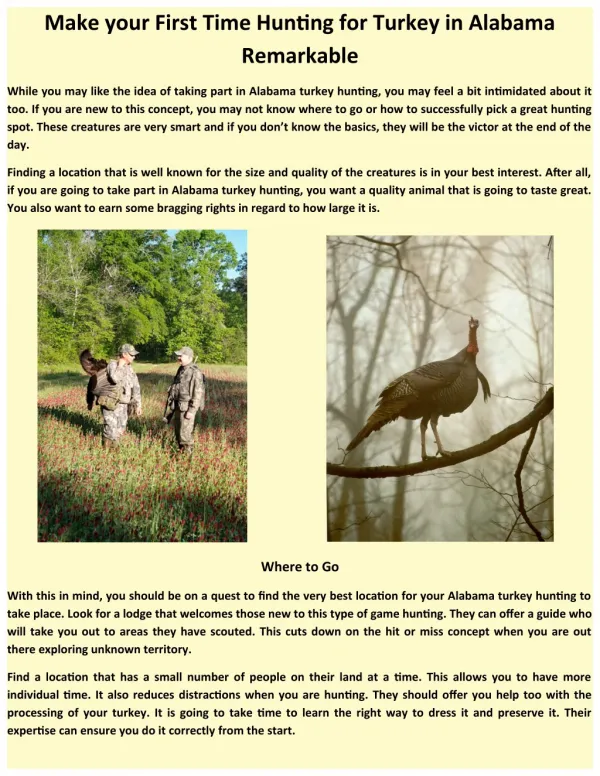 Make your First Time Hunting for Turkey in Alabama Remarkable