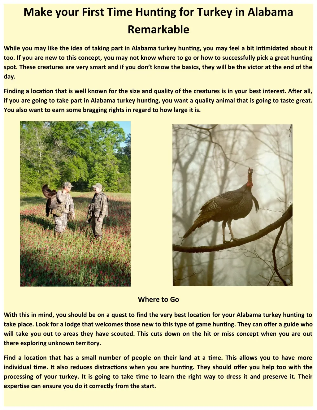 make your first time hunting for turkey