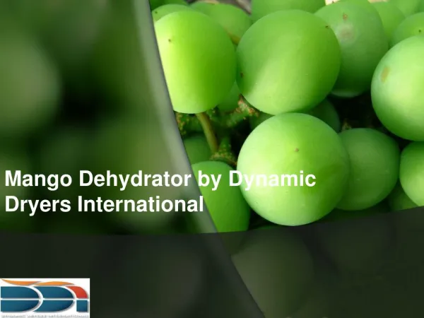 Mango Dehydrator by Dynamic Dryers International