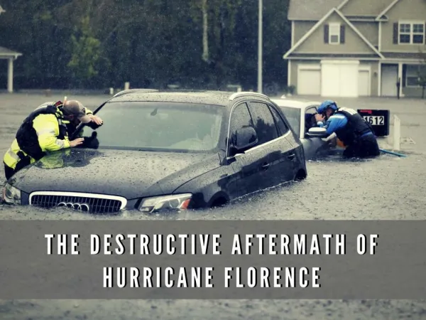 The destructive aftermath of Hurricane Florence
